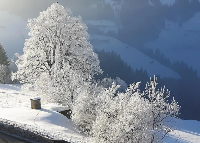 Haus Panorama Apartamento Gerlosberg