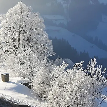 Haus Panorama Daire Gerlosberg