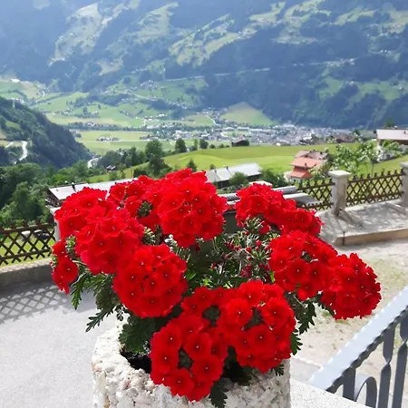 Haus Panorama Daire *
