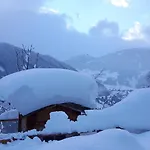 Haus Panorama 公寓 *