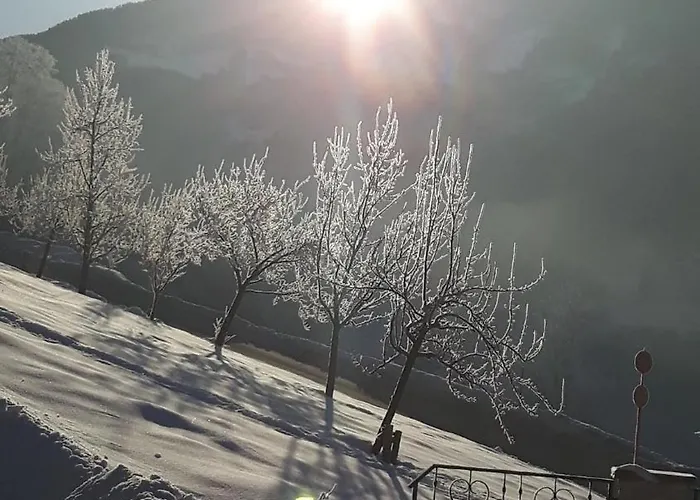 Haus Panorama דירה *